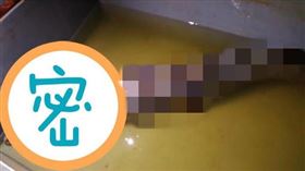 任男家魚塭出現雀鱔魚。（圖／翻攝自微博） 