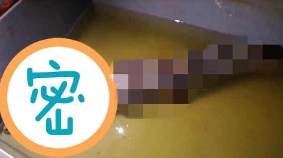 千條魚集體失蹤！他釣上「劇毒怪物」