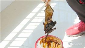 中國名蠔油拉出「蝙蝠屍」　男嚇壞：吃3個月了…
圖翻攝自微信