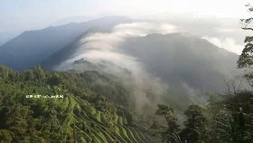 武界美違.露1800