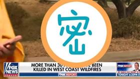 女記者報導到一半，突然竄出一隻棕熊。（圖／翻攝自Fox News）