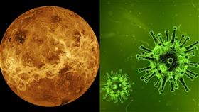 金星,生命體,磷化氫,劇毒,大氣