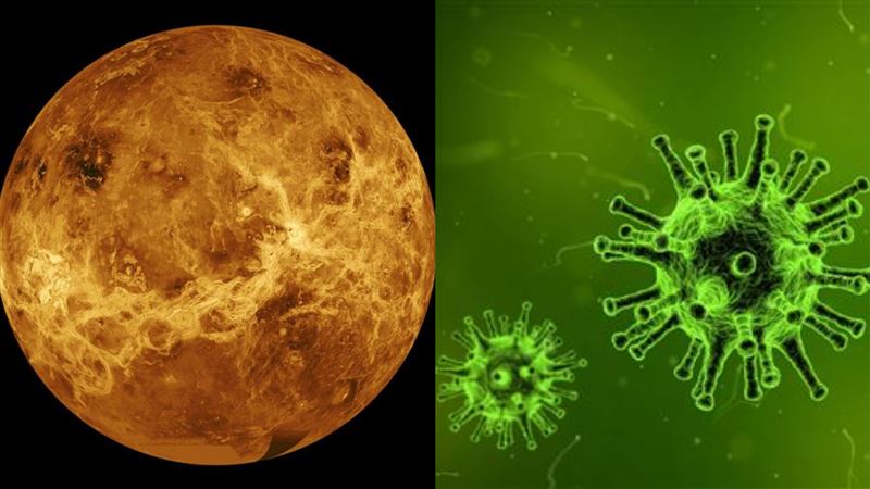 金星大氣中發現磷化氫　他曝：有生物