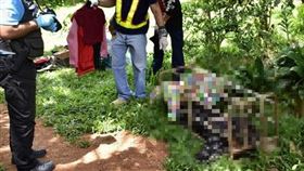 克洽柯恩遭男友殺害，再被塞入豬籠。（圖／翻攝自推特） 