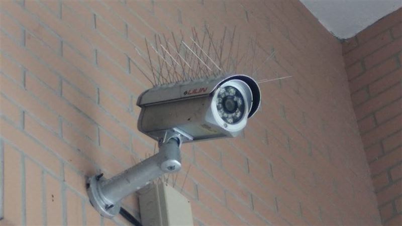 監視器插滿針：在針灸？　行家揭真相