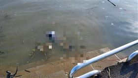 浮屍,台北,社子,社子棒球場,基隆河