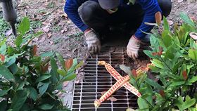 公園溝蓋鏽蝕暗藏危機　高市府派員修繕檢視高雄左營區公所轄管重愛公園有一處側溝溝蓋鏽蝕破損，造成一名女童踩空刮傷腳部縫了數針。左營區公所15日派員修繕更換，同時全面體檢區公所經管的公園設施。（民眾提供）中央社記者王淑芬傳真　109年9月15日