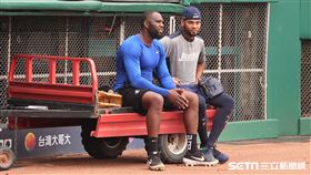 羅傑斯和索沙賽前閒聊。（圖／記者王怡翔攝影）