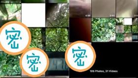 羅茲拿回不見的手機後，在相簿中發現好幾張猴子自拍。 （圖／翻攝自羅茲臉書）