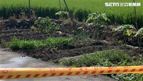 8旬爺田裡被嗆昏亡／熱心民眾提供