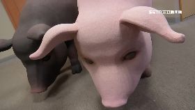 (獨)立院拚焦土1800