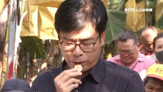 訪蕉農關心產銷 陳其邁開吃賣旗山蕉