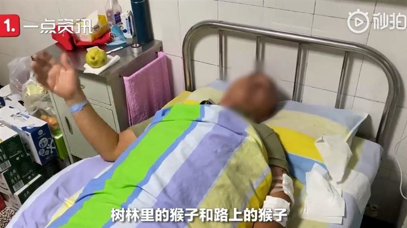 童被欺負　他一出手竟被猴子揍到骨折