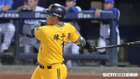 ▲中信兄弟外野手陳子豪。（圖／記者劉彥池攝影）