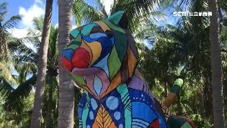 墾丁仿少年Pi造景！猛虎遭漆成彩色