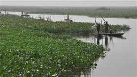 　▲（圖／翻攝自草根影響力新視野）
