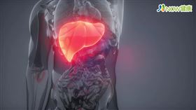 名家專用／NOW健康／中醫治療肝炎是以抑制病毒、提升免疫力、修復壞死細胞。(勿用)