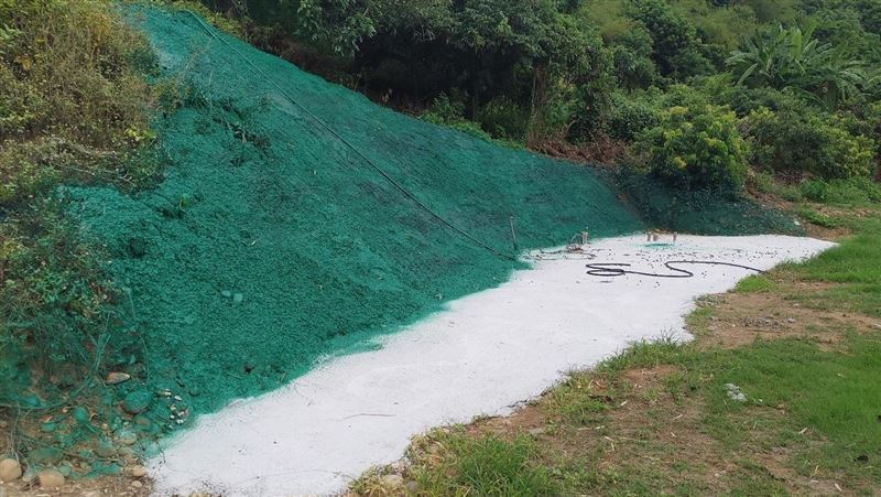 山坡偷整地噴綠漆偽裝　慘遭衛星戳破