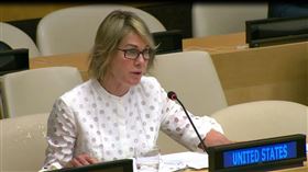 美國駐聯合國大使柯拉夫特（Kelly Craft）（圖／翻攝自Kelly Craft推特）