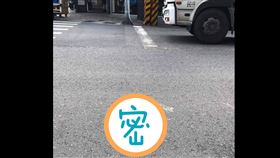 貓尾巴,路上,遺失,斷尾求生