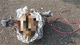 吉米在湖邊撿到一顆錫箔球，裡面竟包著大腦。（圖／翻攝自吉米臉書） 