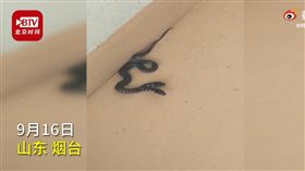 山東出現雙頭怪蛇（圖／翻攝自時間視頻）