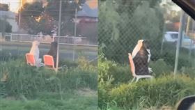 男開車經過　看到兩隻狗坐在椅子上不知道在聊什麼（圖／翻攝自TikTok）