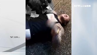 砸千萬查槍手幫派　館長嗆：換你要怕