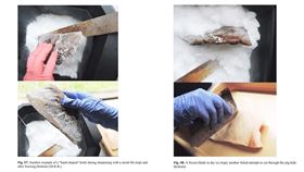 美國人類學者研究拿冷凍人屎製刀切肉，獲頒2020年搞笑諾貝爾獎。（圖／翻攝自Improbable Research YouTube頻道網頁）
