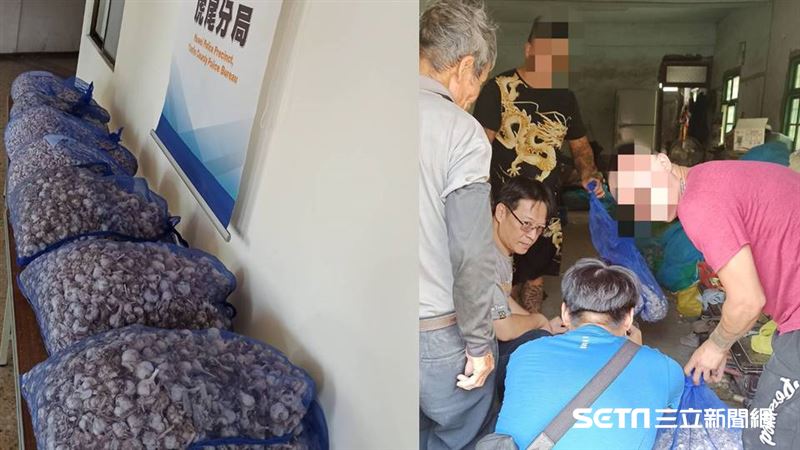 2賊偷600台斤蒜　20袋搬到手軟