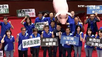 國民黨推反萊豬公投 中選會回應了