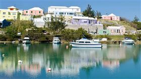 名家專用／草根影響力新視野（勿用）