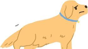 名家專用／毛起來MAOUP（勿用）