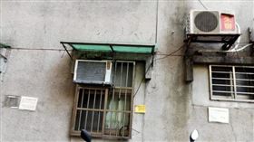 完美保護色！他喊照片「有亮點」…答案公布網融化：超可愛（圖／翻攝自爆廢公社）