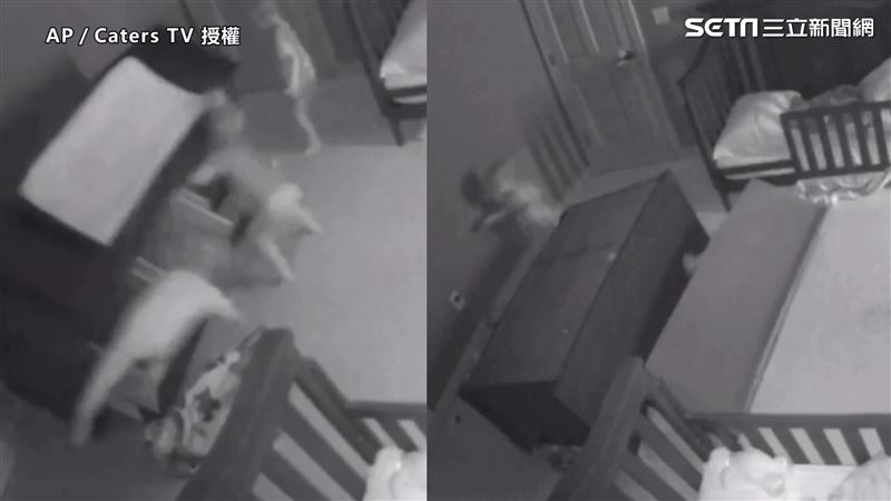 衣櫃倒下重壓2兄弟　驚險畫面曝光