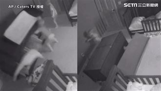 衣櫃倒下重壓2兄弟　驚險畫面曝光