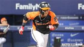 ▲統一獅外野手張偉聖。（圖／記者劉彥池攝影）