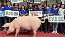 藍委　立法院　抗議　美豬　（李國綸攝）