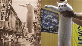 日本,迷因,改圖,梗圖,伸長子,離世,2020