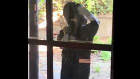 艾美獎,入圍者,頒獎,視訊,獎盃　圖／翻攝自推特