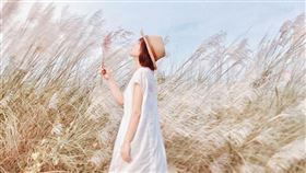 名家專用／台灣旅行趣（勿用）