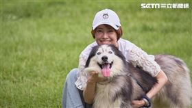 潮流品牌New Era今年9月下旬將以「毛小孩」為主題，祭出全新台灣限定「汪大頭」系列帽款（圖／品牌提供）