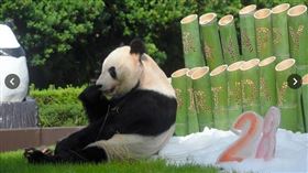 ▲28歲的永明。（圖／翻攝自IG）