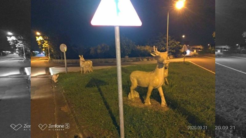 馬路上驚見鹿雕屍首分家　網竟大歪樓