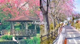 名家專用／台灣旅行趣（勿用）