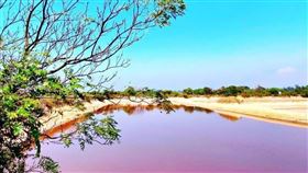 名家專用／台灣旅行趣（勿用）