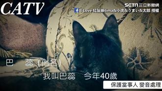 控訴奴才惡行！喵皇：造成我中年陰影