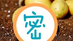 喬安挖出造型奇特的馬鈴薯。（圖／翻攝自pixabay）