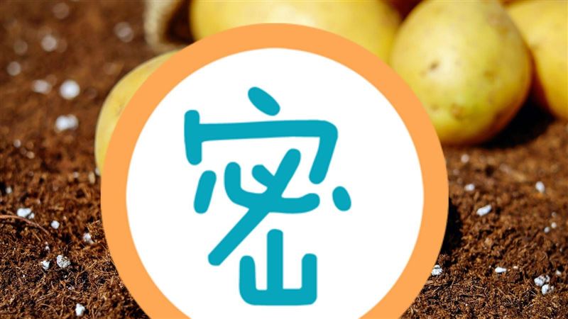挖出怪異馬鈴薯　婦一看好熟悉：是你