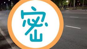  馬路上躺滿數十具鳥屍。（圖／翻攝自推特）